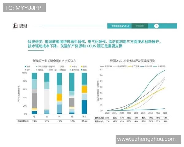 深圳羽毛球队在世界锦标赛中的转型之路与未来发展展望